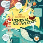 Usborne big picture book. General knowledge by James Maclaine