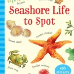 Seashore Life to Spot by Sam Smith