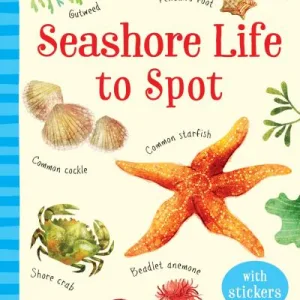 Seashore Life to Spot by Sam Smith