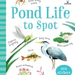 Pond Life to Spot by Kate Nolan