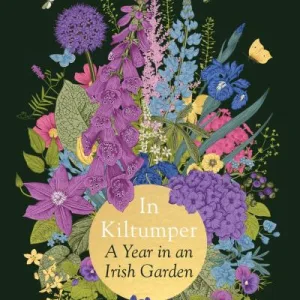 In Kiltumper  by Niall Williams