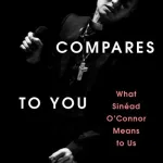 Nothing Compares To You By Sonya Huber
