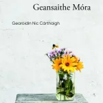 Geansaithe M?ra By C?rthaigh, Gear Nic