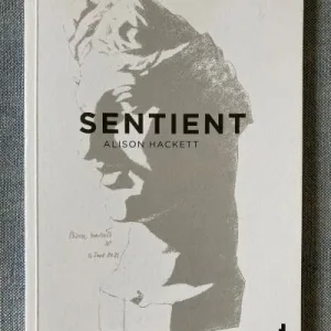 Sentient by Alison Hackett | Woodbine Books Kilcullen