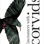 Encounters With Corvids By O Marcaigh, Dr Fionn
