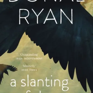 Slanting Of The Sun Stories By Donal Ryan