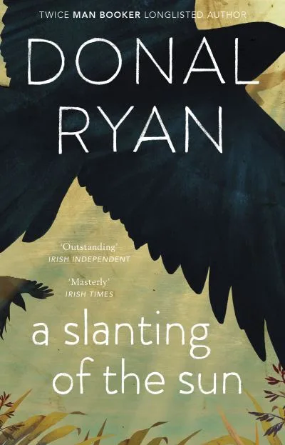 Slanting Of The Sun Stories By Donal Ryan