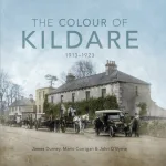 The Colour Of Kildare By James Durney