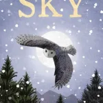 Sky By Holly Webb