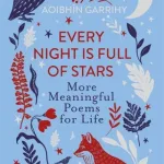 Every Night Is Full Of Stars By Aoibhin Garrihy