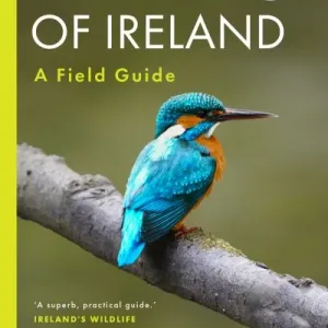 The Birds Of Ireland By Jim Wilson