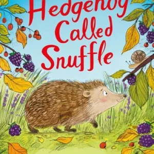 A Hedgehog Called Snuffle By Helen Peters