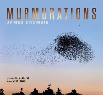 Murmuration By James Crombie