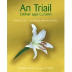 An Triail Cabhair & Cunamh: Notai Don Ardteistimeireacht By Yvonne O'Toole