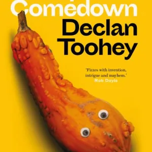 Perpetual comedown by Declan Toohey