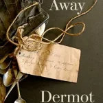 Hide Away By Dermot Bolger