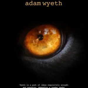 About:Blank By Adam Wyeth