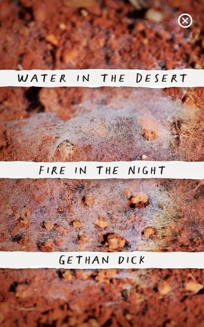 Water In The Desert Fire In The Night By Gethan Dick
