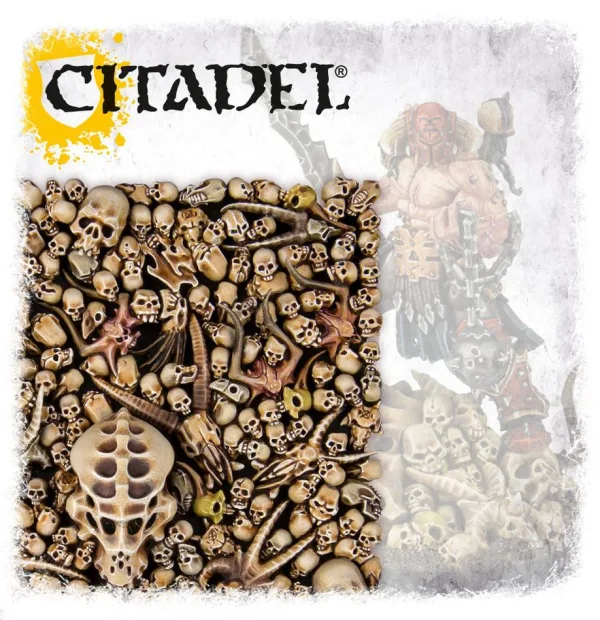 Citadel Skulls By