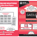 Leaving Certificate Irish/Gaeilge: Higher Level Exam Papers By Edco