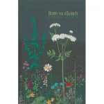 Blath Na Dtulach By Various