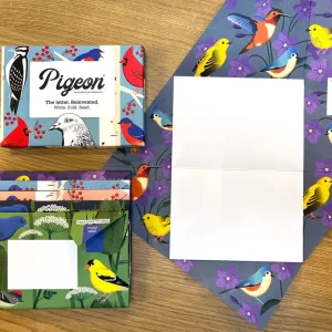 Carnival Of Colour Pigeon Cards By  ,