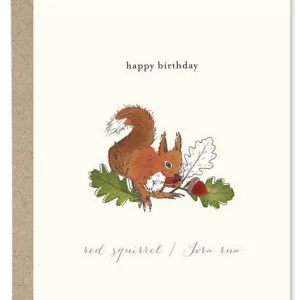 Red Squirrel Happy Birthday By Paper Gull