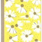 Good Luck Card By Mama Robin