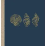 3 Gold Shells Card By Mama Robin