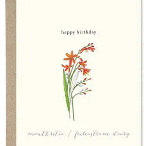 Monbretia By Paper Gull | Woodbine Books Kilcullen