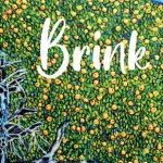 Brink | Woodbine Books Kilcullen