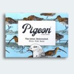 Pigeon Posted Hebridean Pigeons Letter Writing Set by  ,