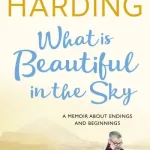 What is beautiful in the sky by Michael Harding