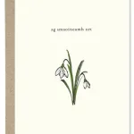 Ag Smaoineamh Ort Card By Paper Gull