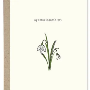 Ag Smaoineamh Ort Card By Paper Gull